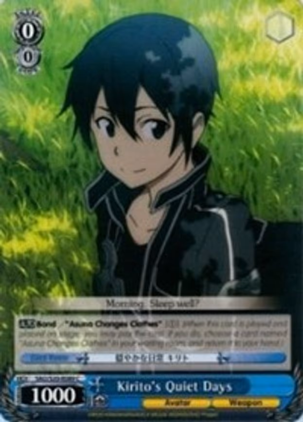 Kirito's Quiet Days
