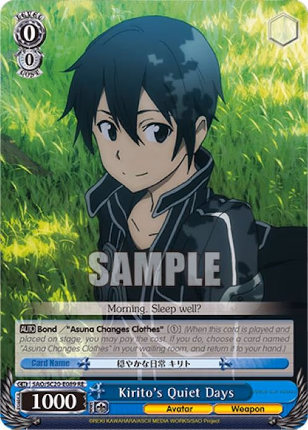 Kirito's Quiet Days