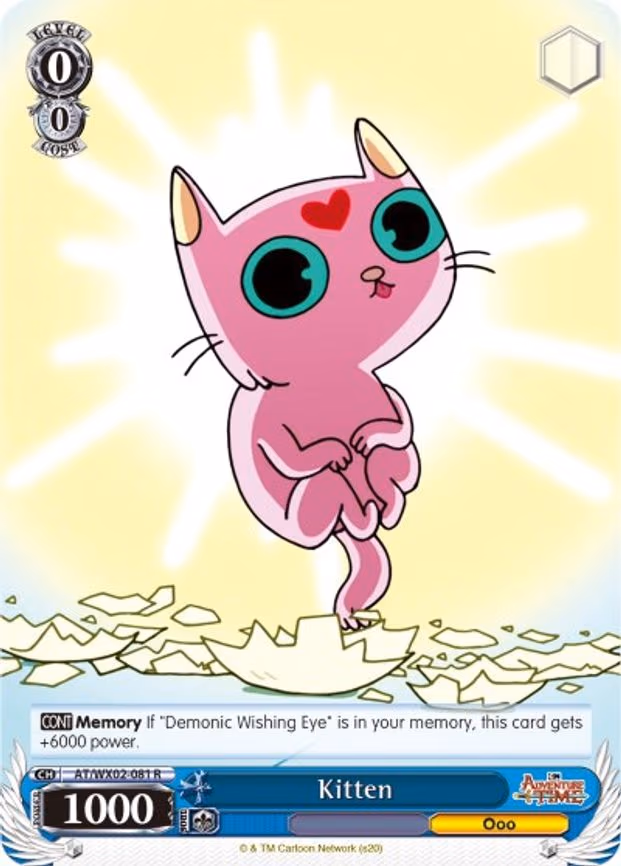 Kitten