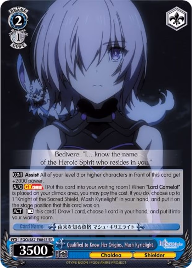 Qualified to Know Her Origins, Mash Kyrielight