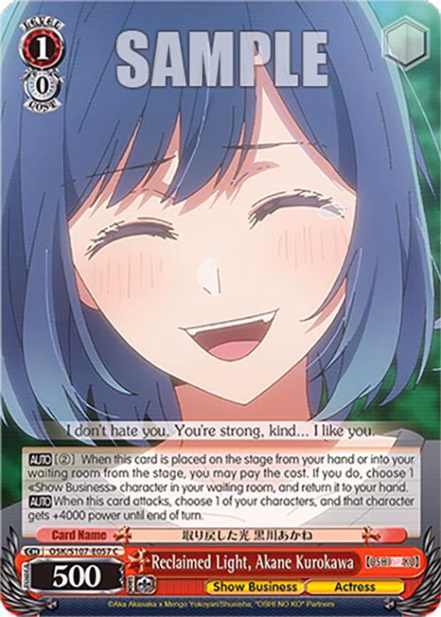 Reclaimed Light, Akane Kurokawa