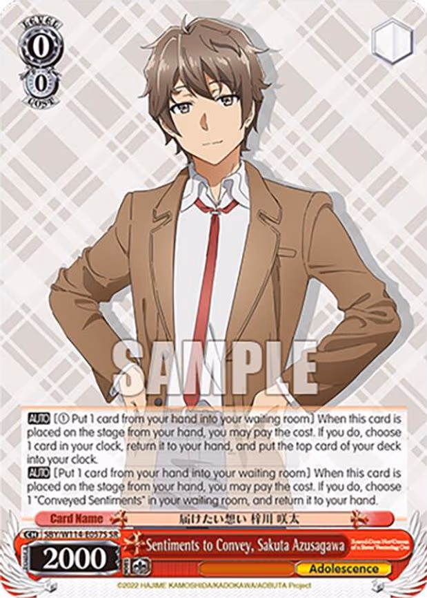 Sentiments to Convey, Sakuta Azusagawa