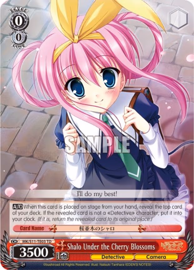 Shalo Under the Cherry Blossoms