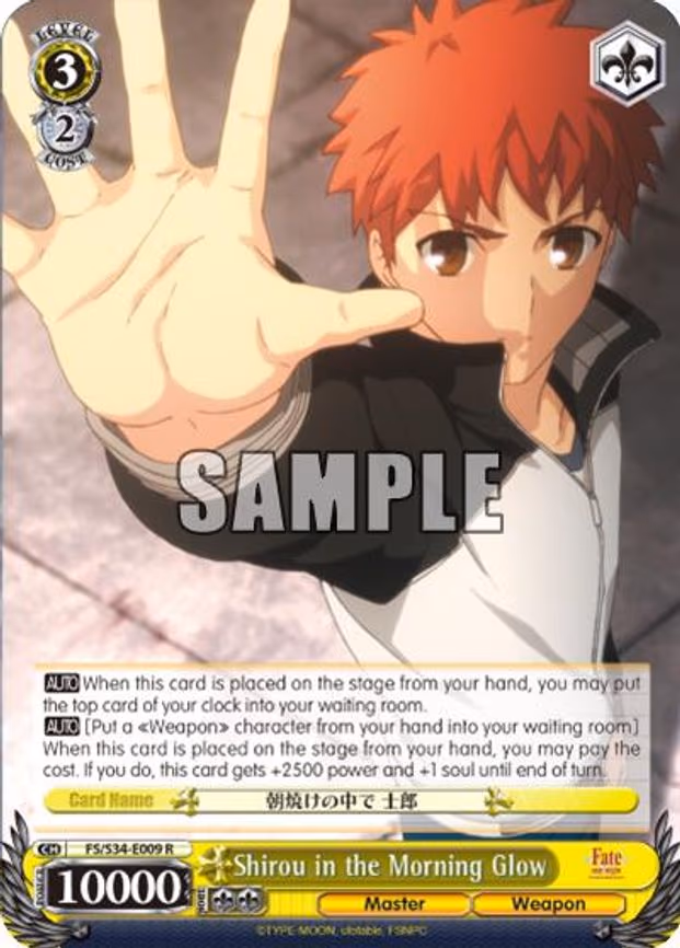 Shirou in the Morning Glow