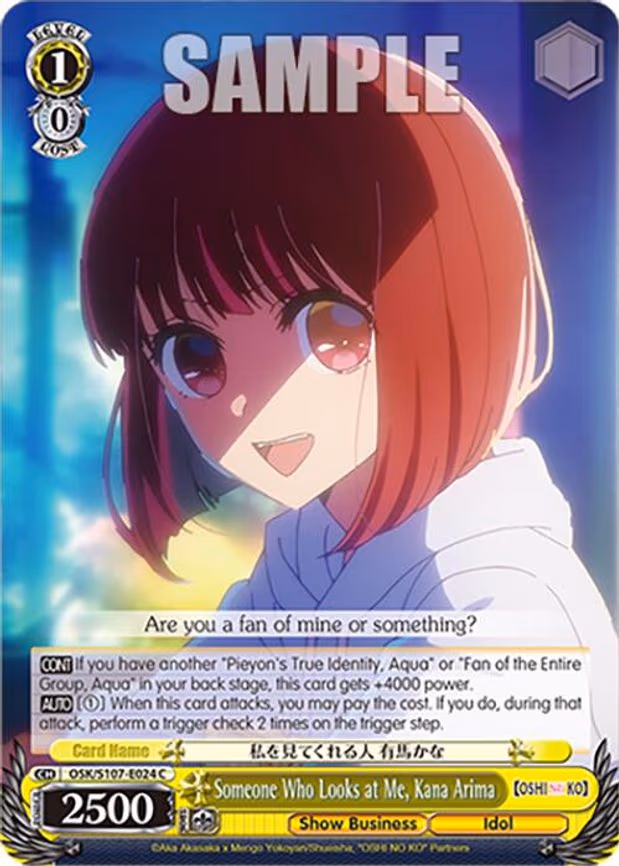 Someone Who Looks at Me, Kana Arima