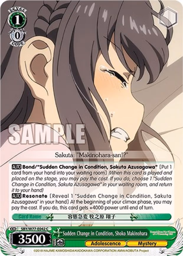 Sudden Change in Condition, Shoko Makinohara