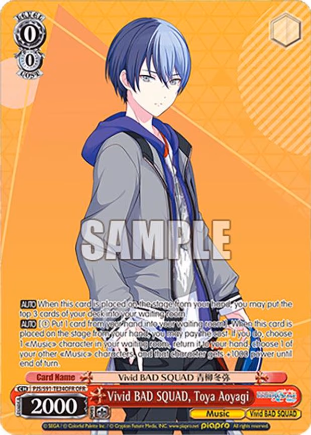 Vivid BAD SQUAD, Toya Aoyagi