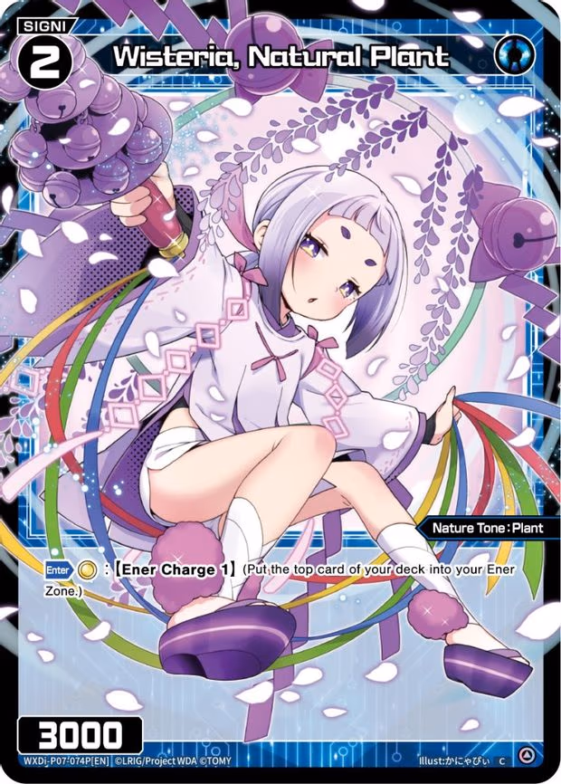 Wisteria, Natural Plant - C (WXDi-P07-074P[EN])