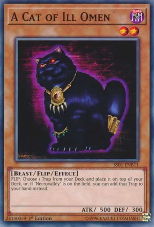 A Cat of Ill Omen