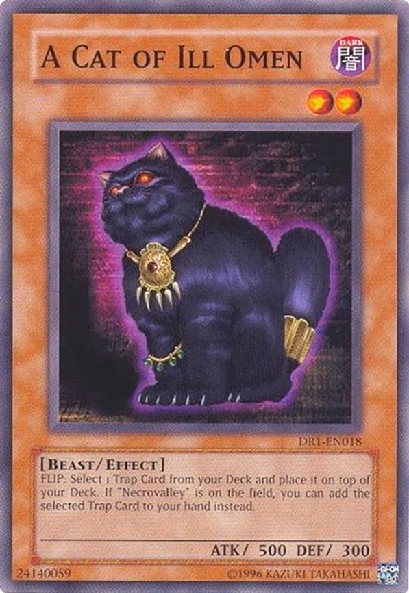 A Cat of Ill Omen