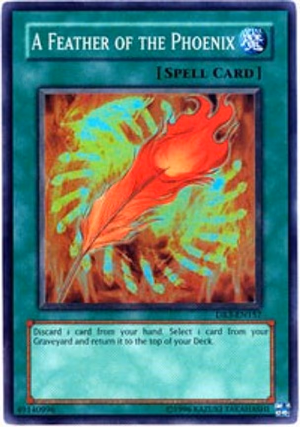 A Feather of the Phoenix