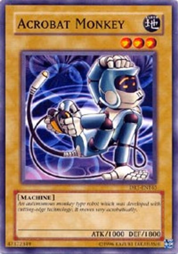 Acrobat Monkey