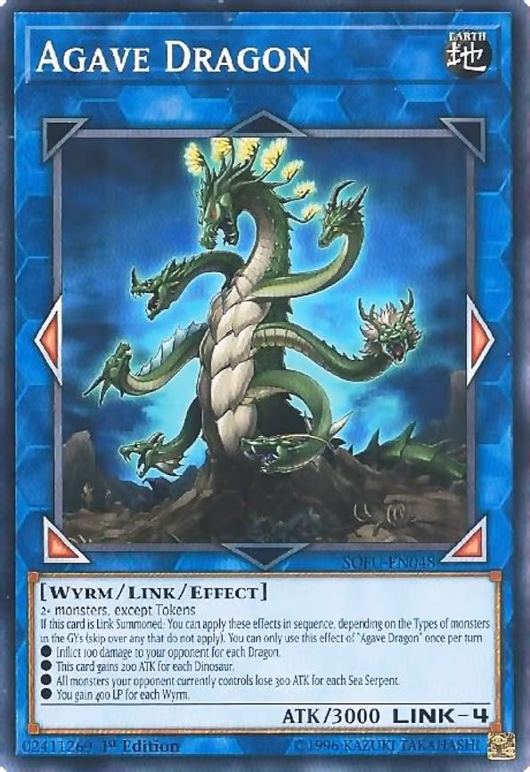 Agave Dragon