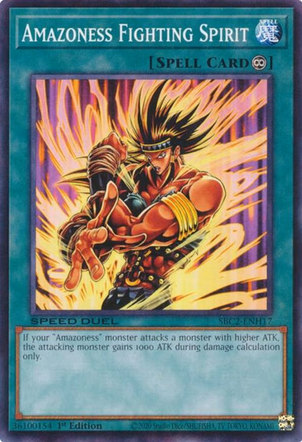 Amazoness Fighting Spirit