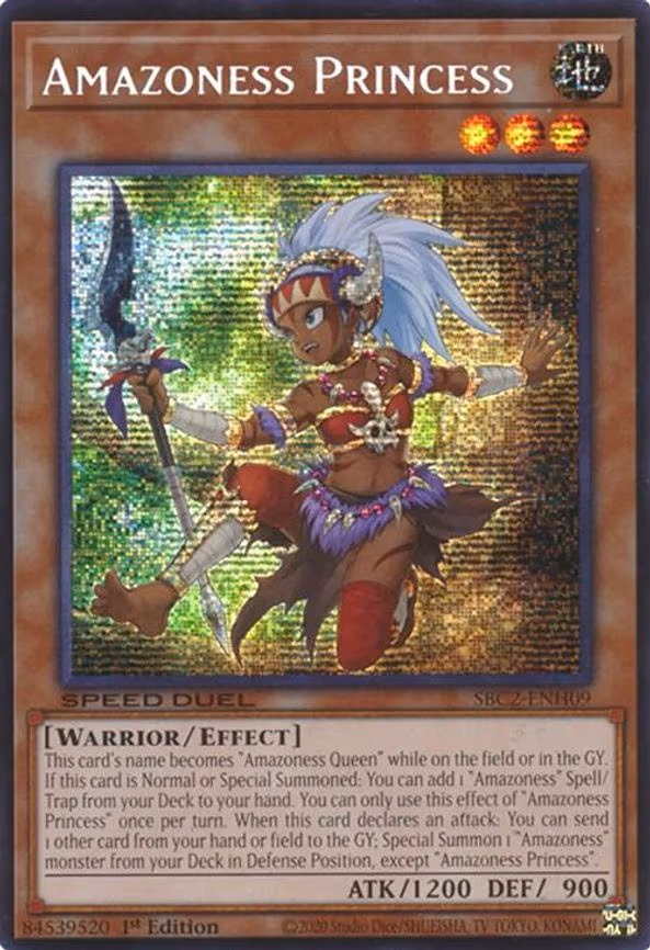 Amazoness Princess