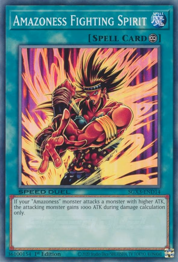 Amazoness Fighting Spirit