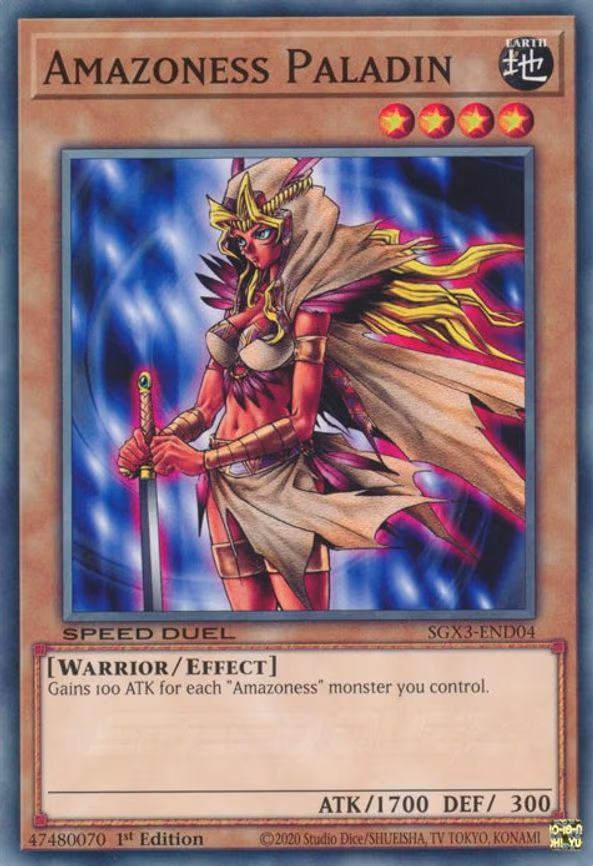 Amazoness Paladin
