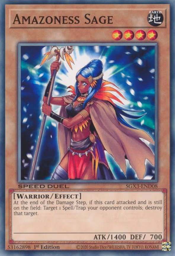 Amazoness Sage
