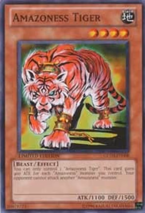 Amazoness Tiger