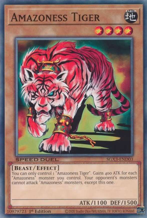 Amazoness Tiger