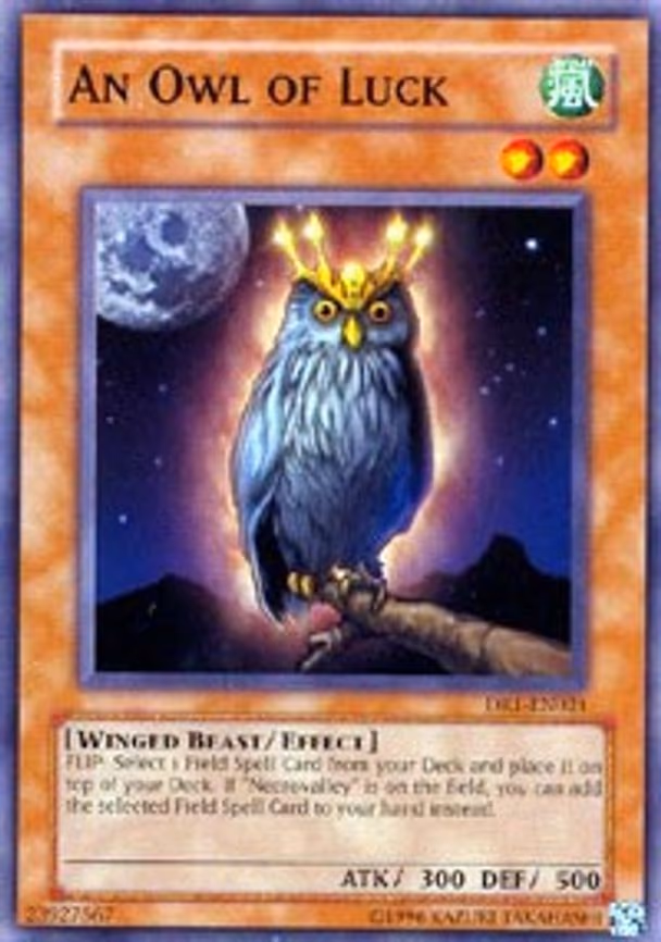 An Owl of Luck