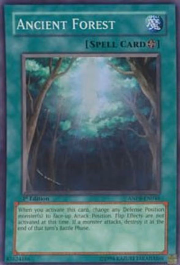 Ancient Forest