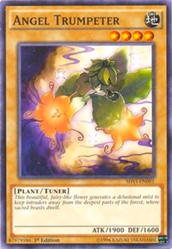 Angel Trumpeter