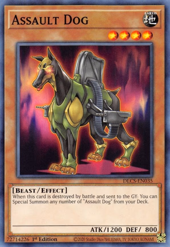 Assault Dog