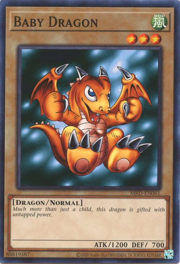 Baby Dragon