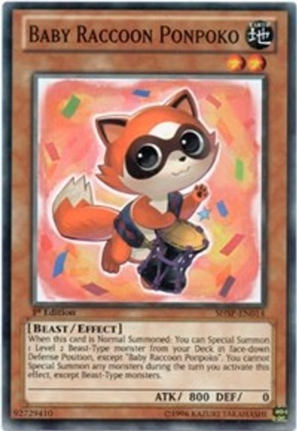 Baby Raccoon Ponpoko