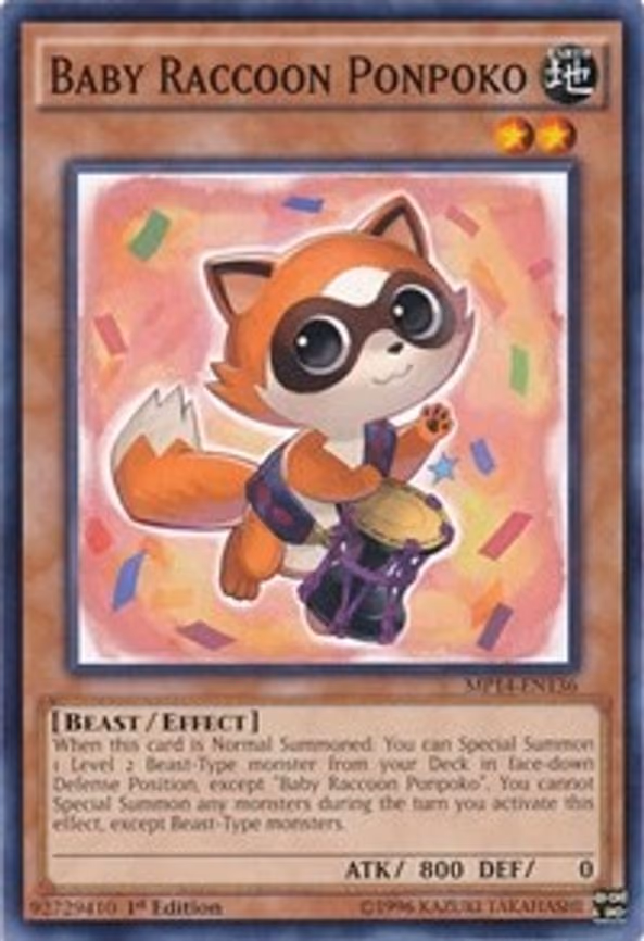 Baby Raccoon Ponpoko