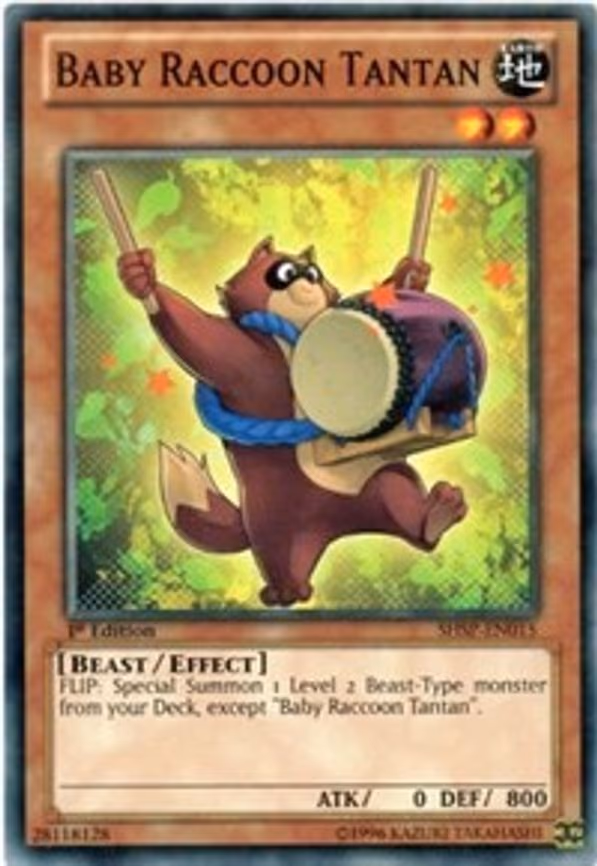 Baby Raccoon Tantan