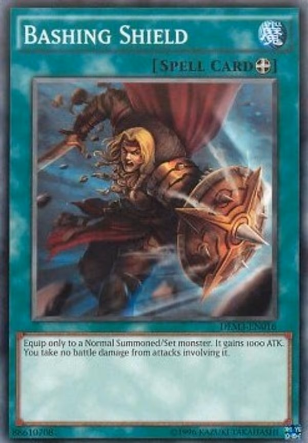 Bashing Shield