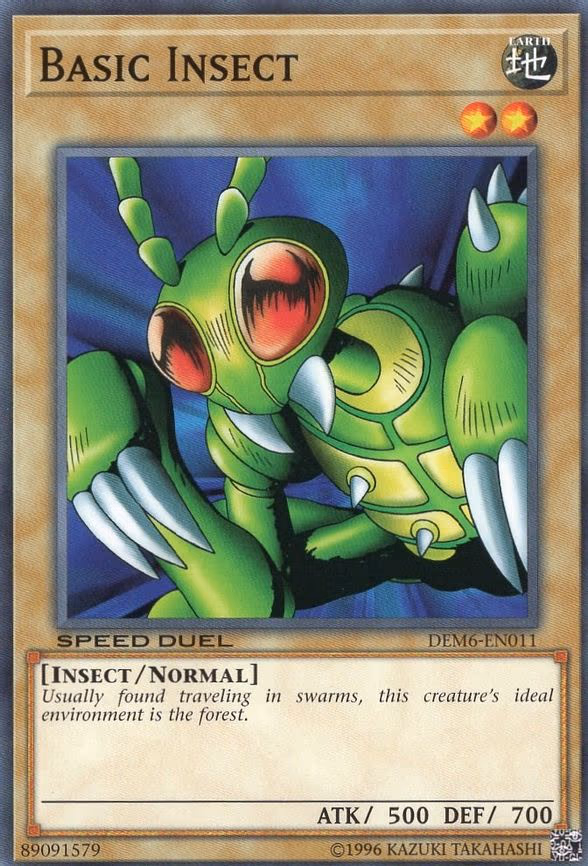 Basic Insect