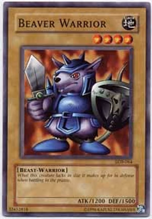 Beaver Warrior