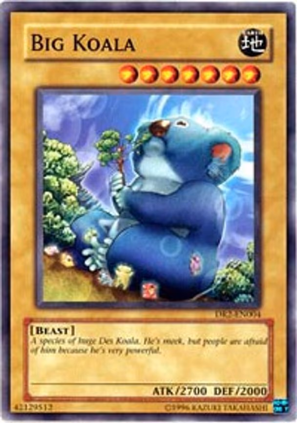 Big Koala