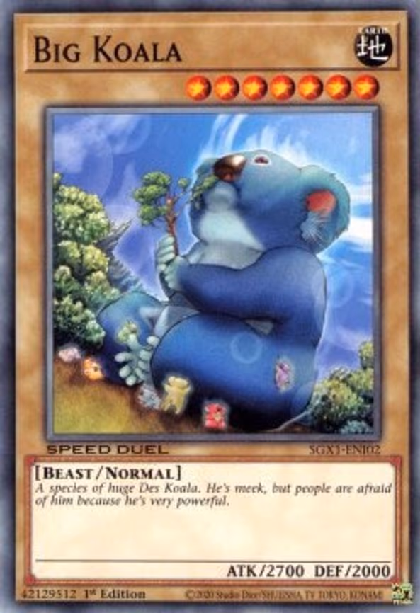 Big Koala