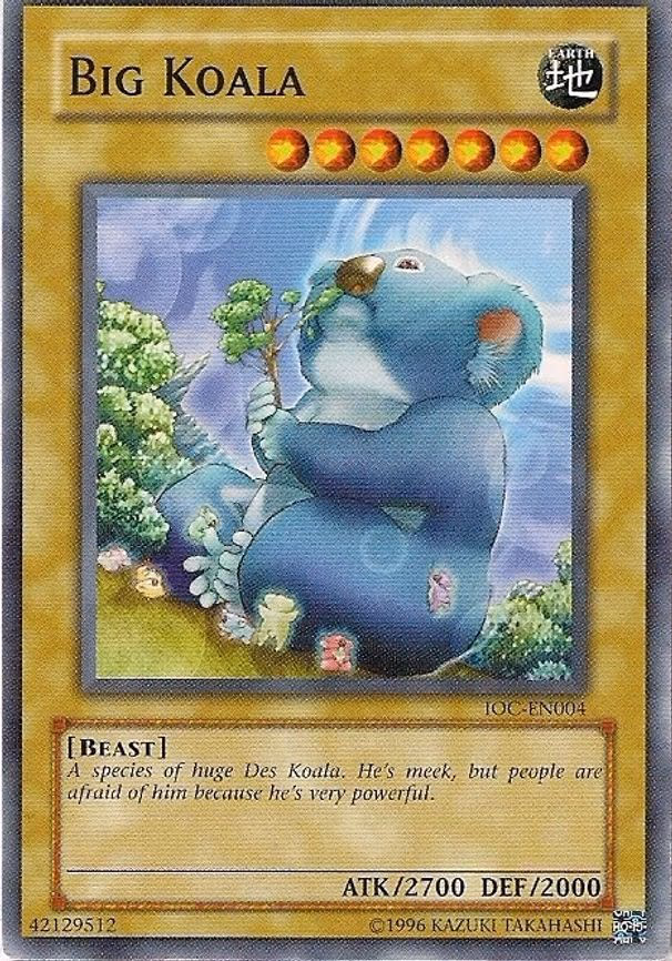 Big Koala