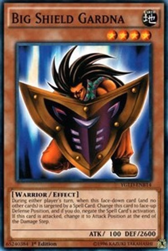 Big Shield Gardna