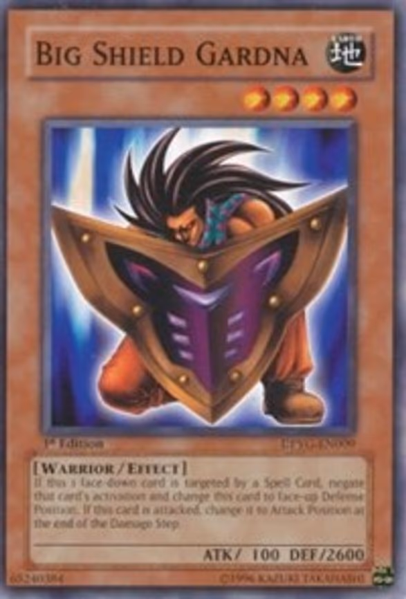 Big Shield Gardna