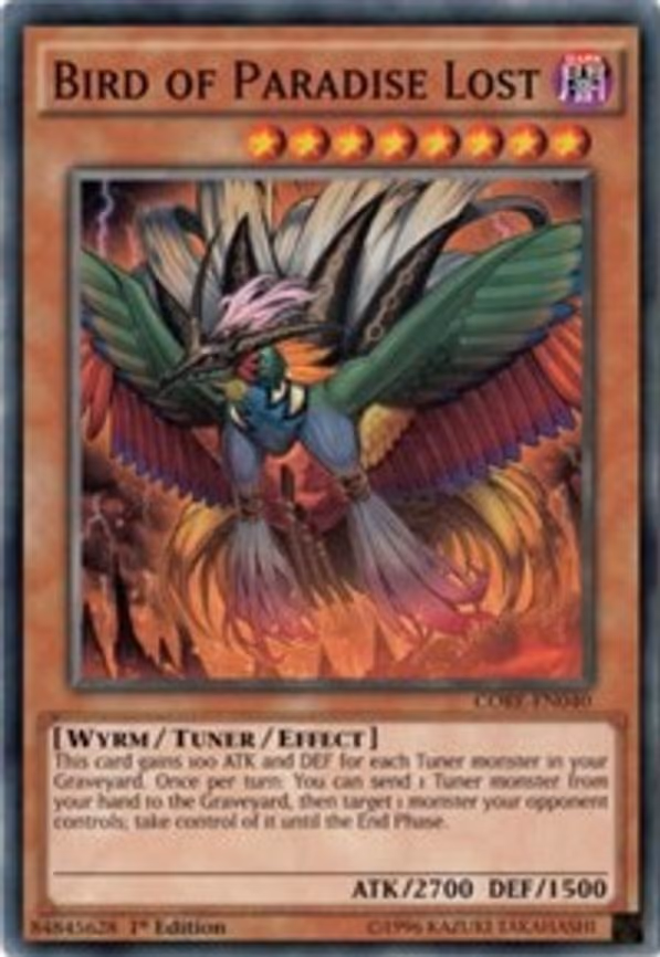 Bird of Paradise Lost