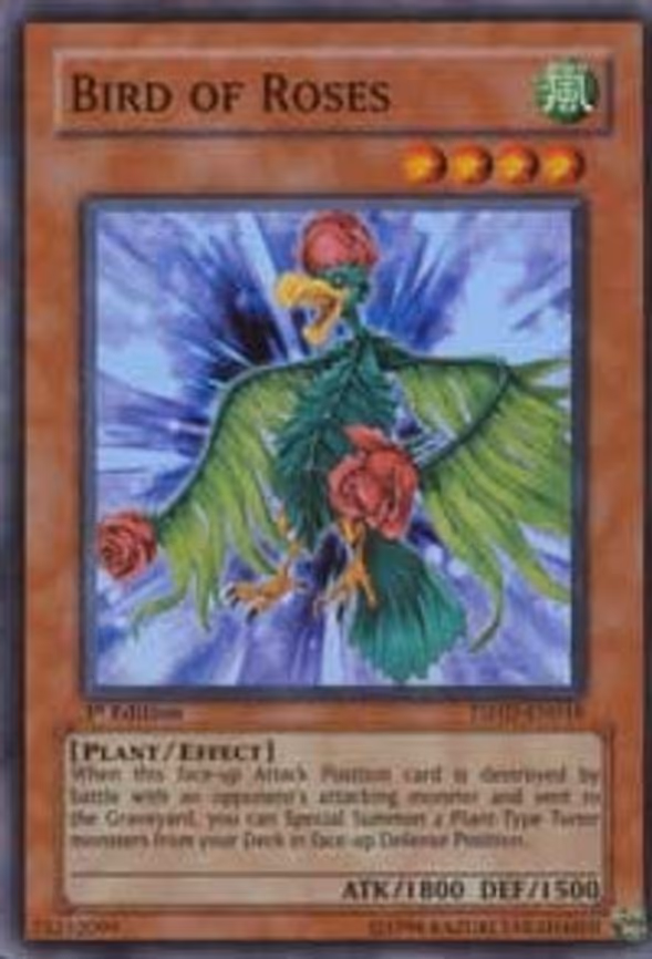 Bird of Roses