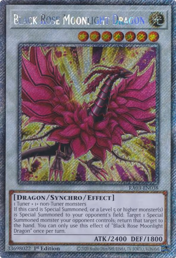 Black Rose Moonlight Dragon