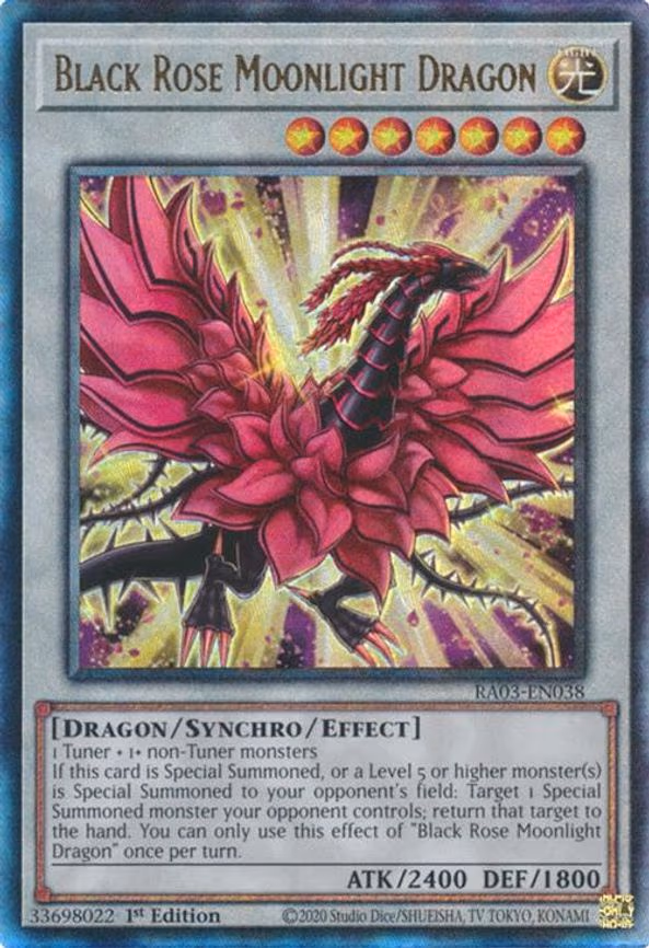 Black Rose Moonlight Dragon