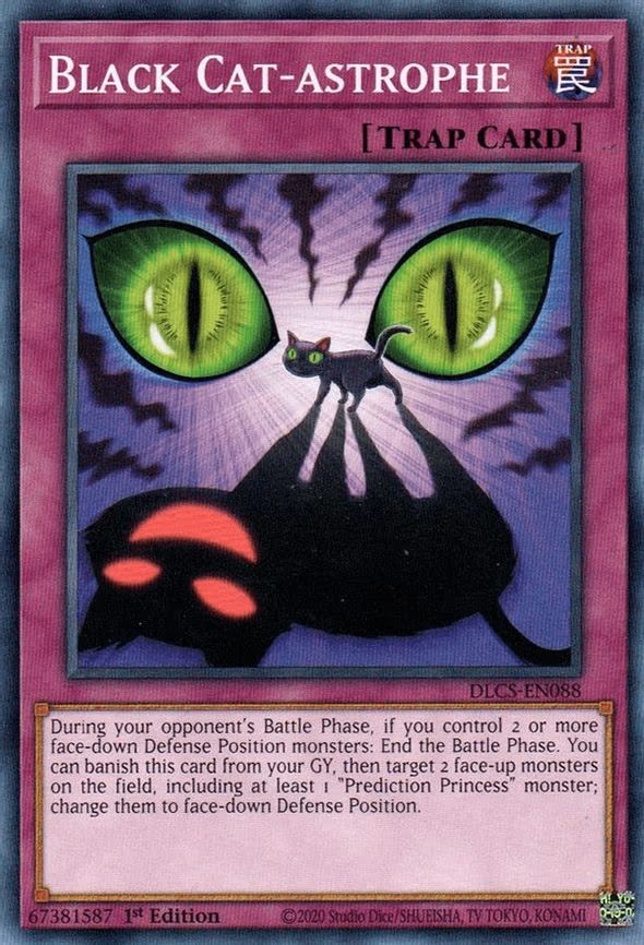 Black Cat-astrophe