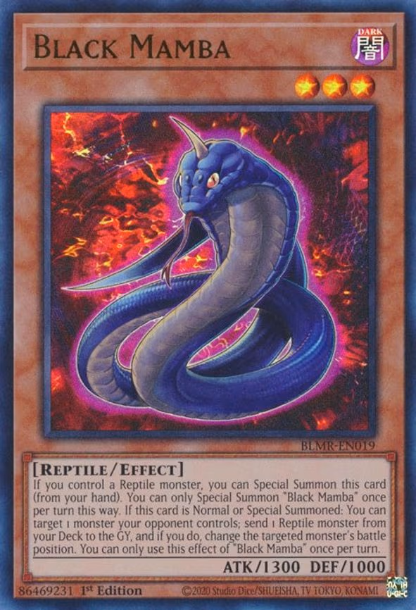 Black Mamba