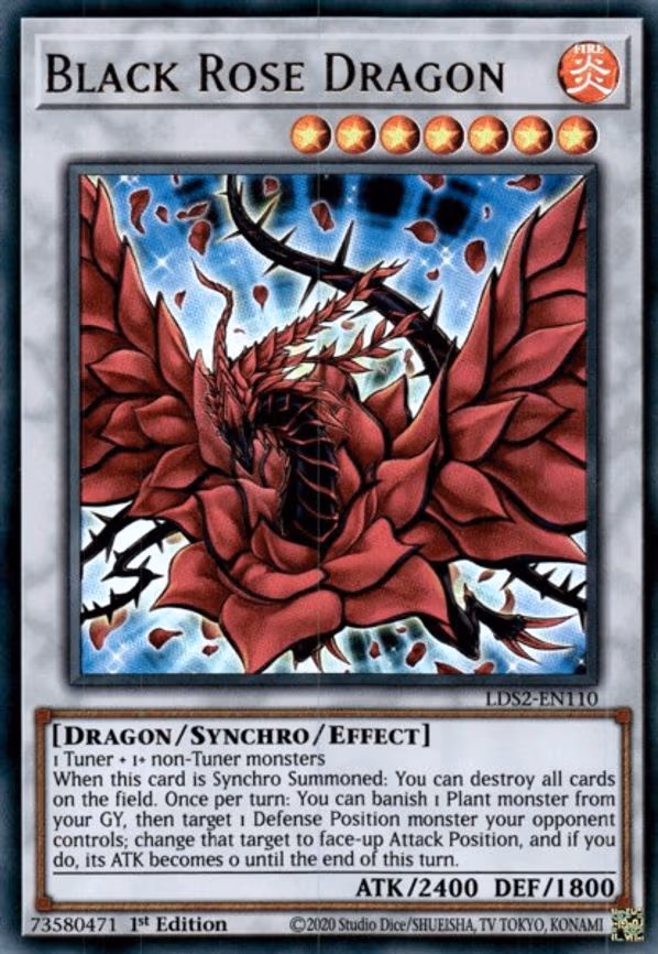 Black Rose Dragon