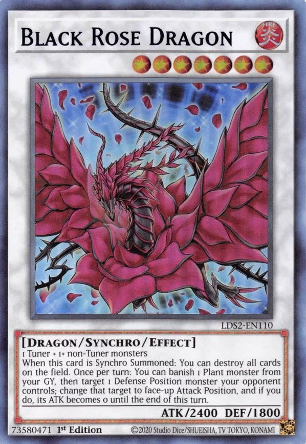 Black Rose Dragon (Blue)