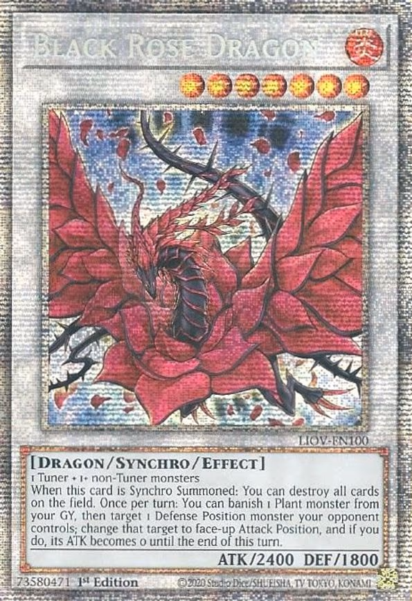 Black Rose Dragon