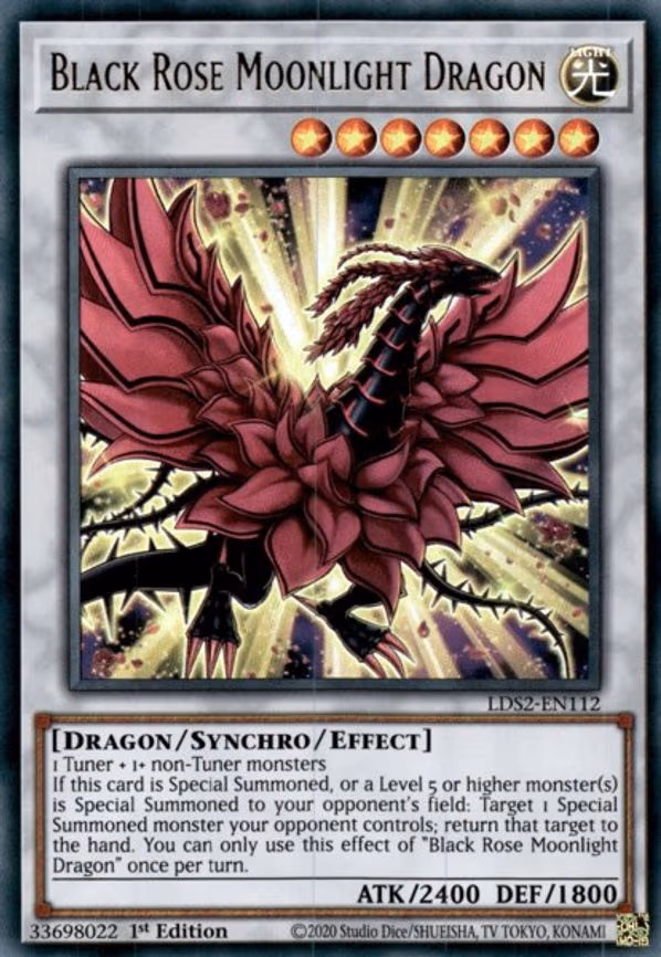 Black Rose Moonlight Dragon